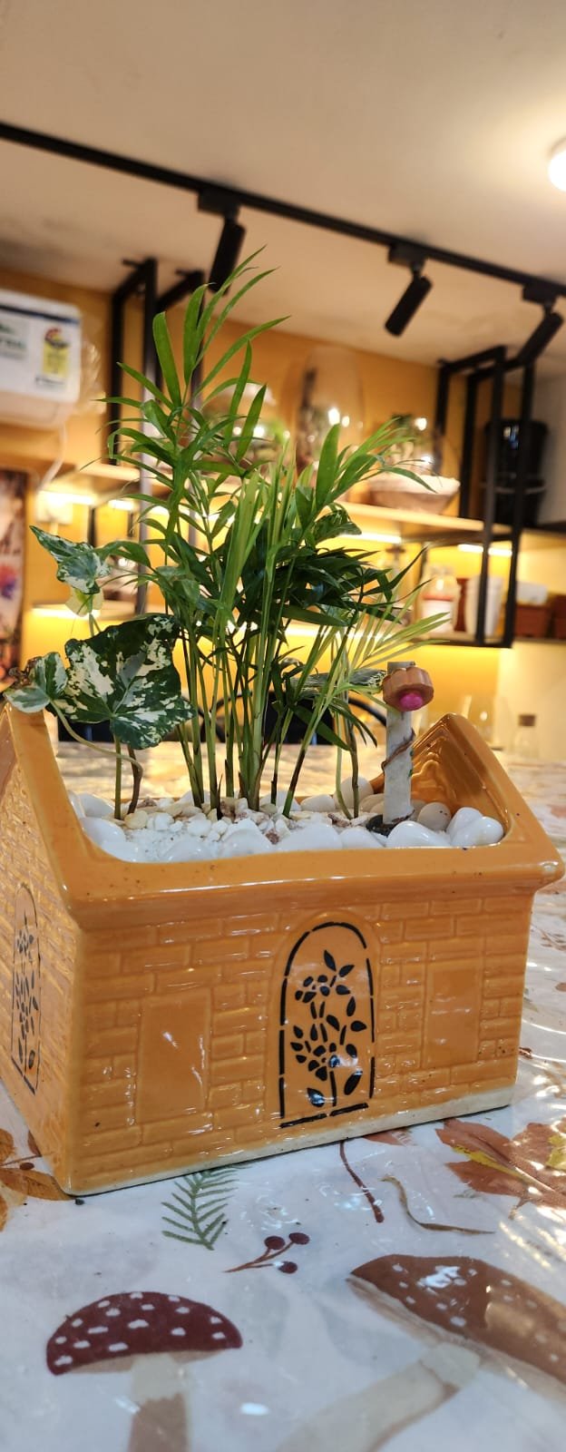 Courtyard planter at the studio